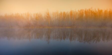 landscape with trees foggy morning at the river in the countrysideの写真素材