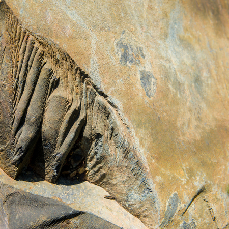 surface mineral concomitant iron ore, industrial iron ore miningの写真素材