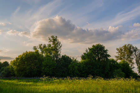 spring landscape clouds and forest sunny dayの写真素材
