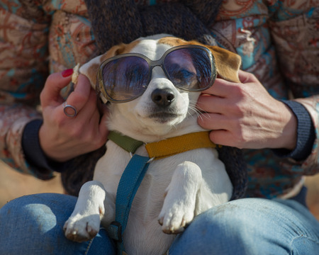 woman wore sunglasses to his dog