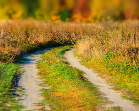 dirt road on the background an autumn forestの写真素材