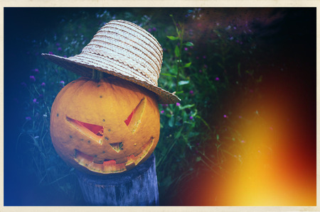 Scary Pumpkin in a straw hat on halloween on background of grass in a meadowの写真素材