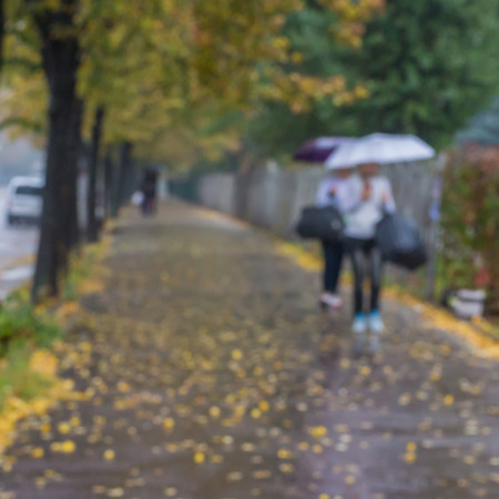 women with umbrellas in the rain go on autumn alley, blurred backgroundの写真素材
