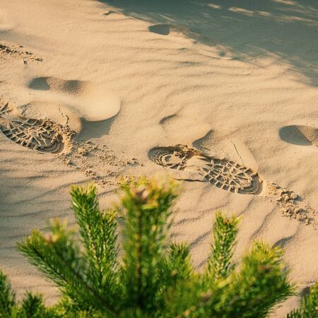 traces of the shoe in the sand in the dunes