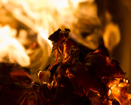 flame when burning the paper in the ovenの写真素材
