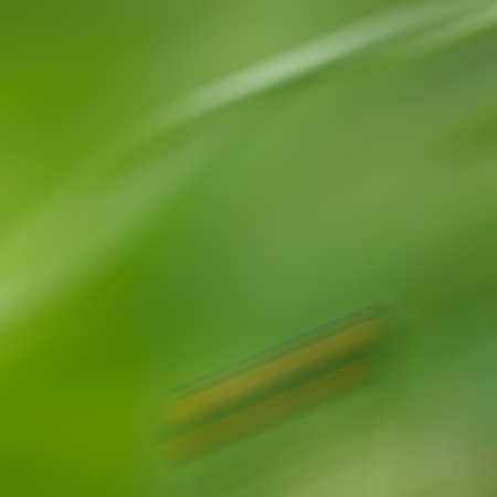 Abstract blurred lines and  green shapesの写真素材