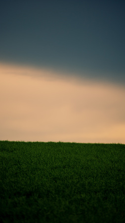 Wheat field and thunderous sky countryside