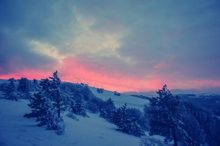 Sunset of a pine and a cliff snowy winter landscape in the mountainsの写真素材