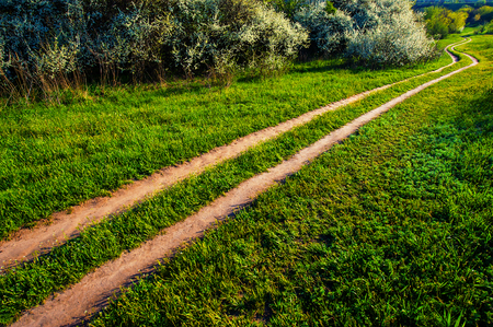 Dirt road in the countryside spring landscapeの写真素材