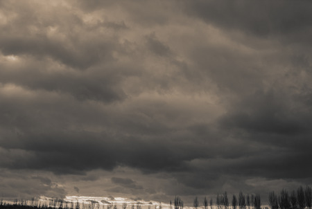 Clouds and trees, landscape in the countryside. Monochrome photo. Background for web page design.の写真素材
