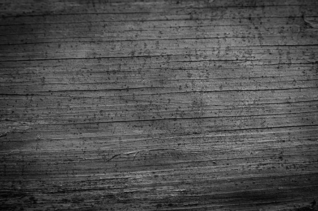 Surface of an old wooden board. Monochrome photo. Background for web designの写真素材