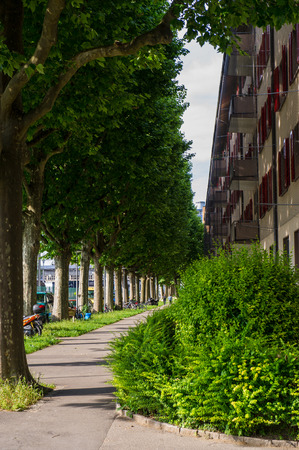 Plane alley and asphalt walkway for pedestrians in the city of Baselの写真素材