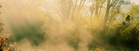 blurred background, autumn morning mist and sunbeams on the background of trees. Horizontal banner.の写真素材
