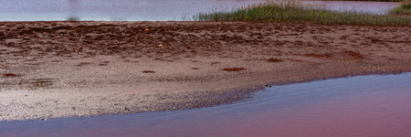 contaminated water and soil with iron oxides in the industrial zone. Ecological problem. Banner for...
