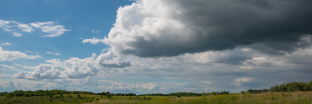 forest and field on a background of clouds. Summer season. Web banner.