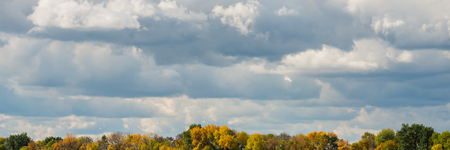 rain clouds over the tops of deciduous forest trees. Web banner. Autumn season.の写真素材