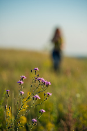 Blurred silhouette of a woman on a flowered meadow. Spring season.の写真素材