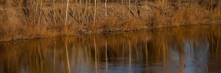 Deciduous Forest, Water and Ice on the River Bank. Winter Season, February. Web Banner. Natural...