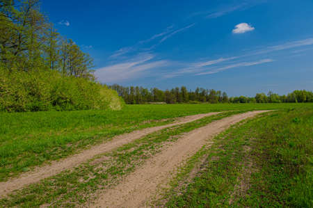 Dirt road in the meadow against the backdrop of deciduous forest. Spring season.の写真素材