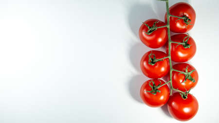 branch with red tomatoes lies on a light background. Web banner.の写真素材