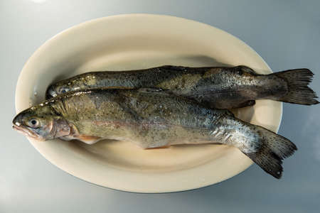 River trout fish lies in a dish. Cooking food.の写真素材