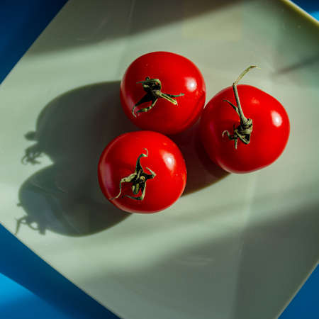 Three red tomatoes lie on a plate in the sunlight. Summer season.の写真素材