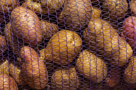 potato root vegetables lie in a grid in the open air. Cooking food.の写真素材