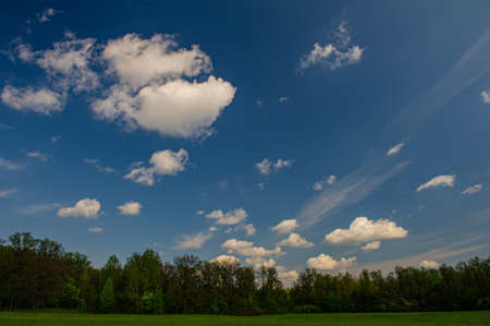 Deciduous forest and green meadow against the blue sky. Spring season, May. Ukraine. Europe.の写真素材