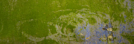 surface of the wall cement plaster covered with cracks and old paint.  Web banner.