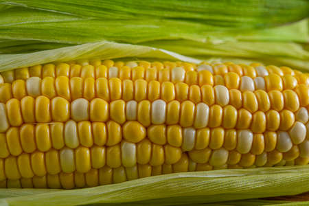 ripe ear of corn lies on the surface of an oak board. Cooking food.の写真素材
