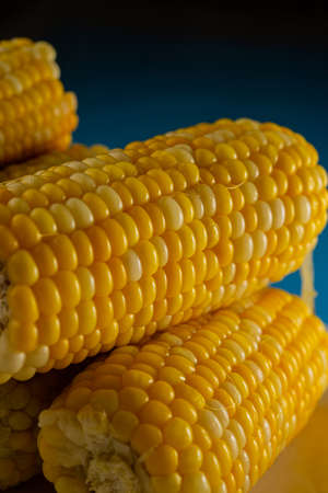 swings of ripe baked corn in a plate. Food ingredient.