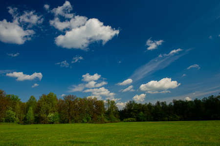 Clouds, deciduous forest and green meadow on a sunny day, landscape. Spring season.