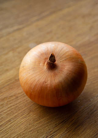 ripe onion in a golden peel lies on the surface of the table, close-up. Autumn season, October.の写真素材