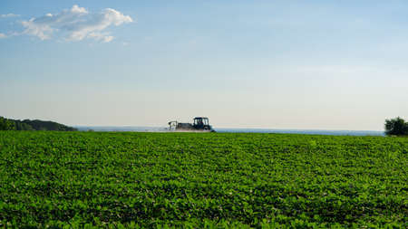 farmer treats the field with fertilizers in the morning. Web banner. Summer season, June.の写真素材