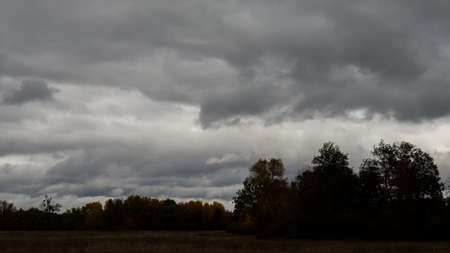 Rain clouds over the forest in cloudy weather. Autumn season. Web banner.の写真素材