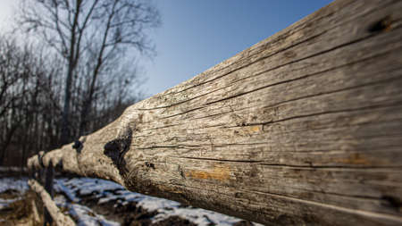 Wooden fence against the background of silhouettes of trees on a sunny day. Spring season in March....