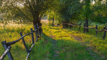 Old wooden fence and dirt road in the countryside. Summer season, August. Web banner. Ukraine.の写真素材