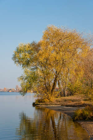 Beautiful orange autumn tree at the riverの写真素材
