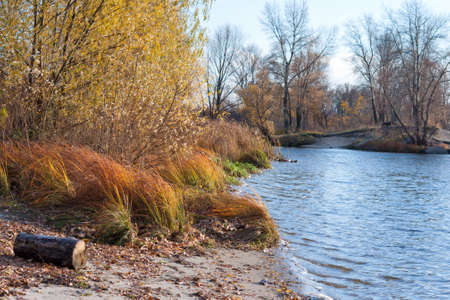 Beautiful river bank at the countrysideの写真素材