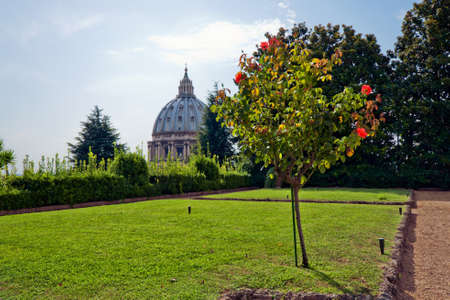 Beautiful view at the Vatican gardens and St. Peter's Basilica in Rome,. Italyの写真素材