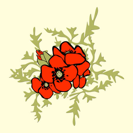 Poppy floral background vectorのイラスト素材