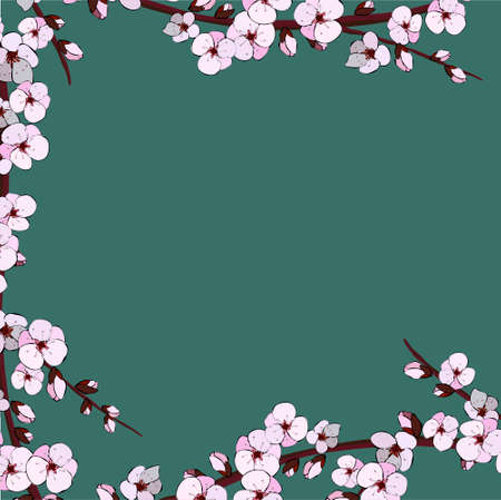 Cherry blossom. Sakura flowers.  Easily editable vector imageのイラスト素材