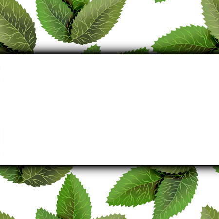 Square frame, overgrown tree branches with green leaves on wooden background. Blank for advertising card or invitation.のイラスト素材