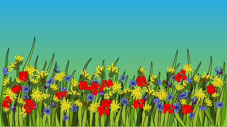 Summer bright background with dandelion and poppiesのイラスト素材