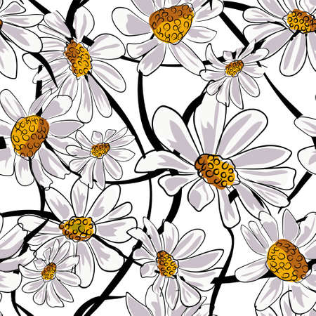 Chamomile seamless pattern. Illustration on white backgroundのイラスト素材