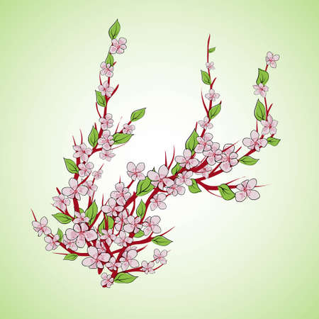 Sakura branch. Isolated on white background. Vector illustration. Hand drawingのイラスト素材