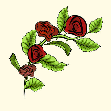 Vector branch of red roses isolated on a white backgroundのイラスト素材
