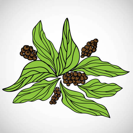 Coffee sketch hand drawing pattern vector illustrationのイラスト素材