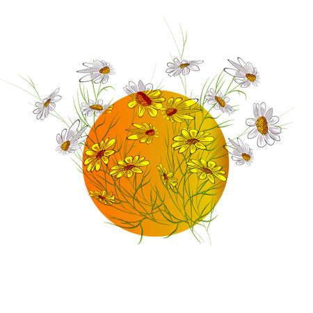 Bouquet of daisies on the background of the sunのイラスト素材