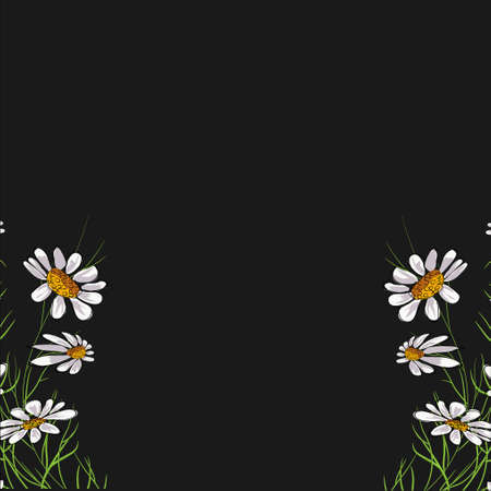 Bouquet of daisies on a dark backgroundのイラスト素材